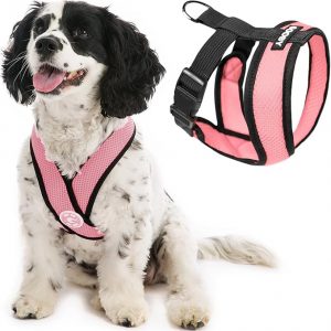 Collapsed Trachea Dog Harness