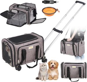 Southwest Approved Pet Carrier